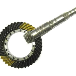 Coroa e Pinhão 80006400